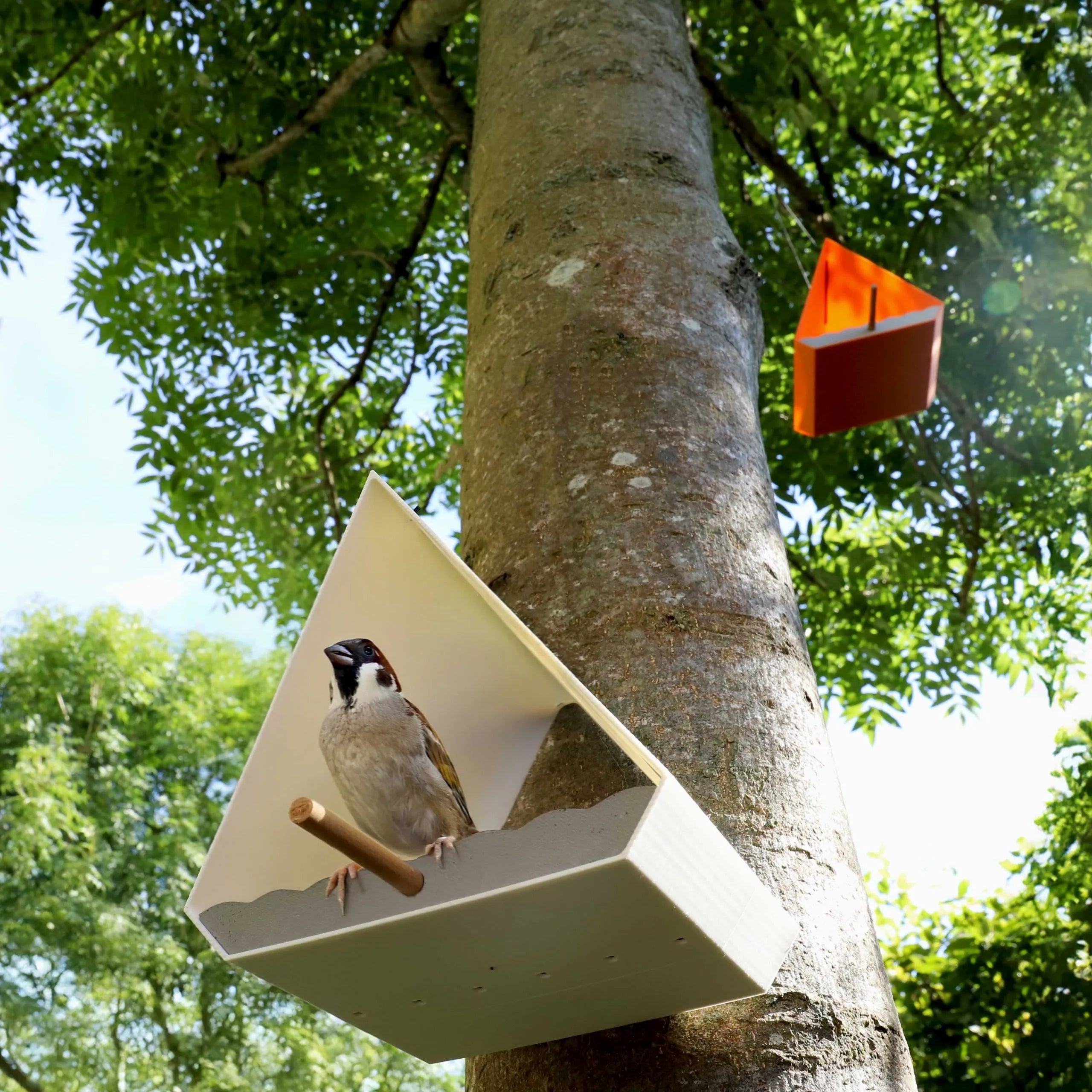 Vogelhaus Noa "L" | Betongrau