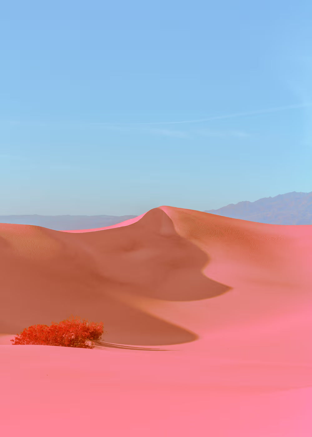 Print Poster | Dunes II
