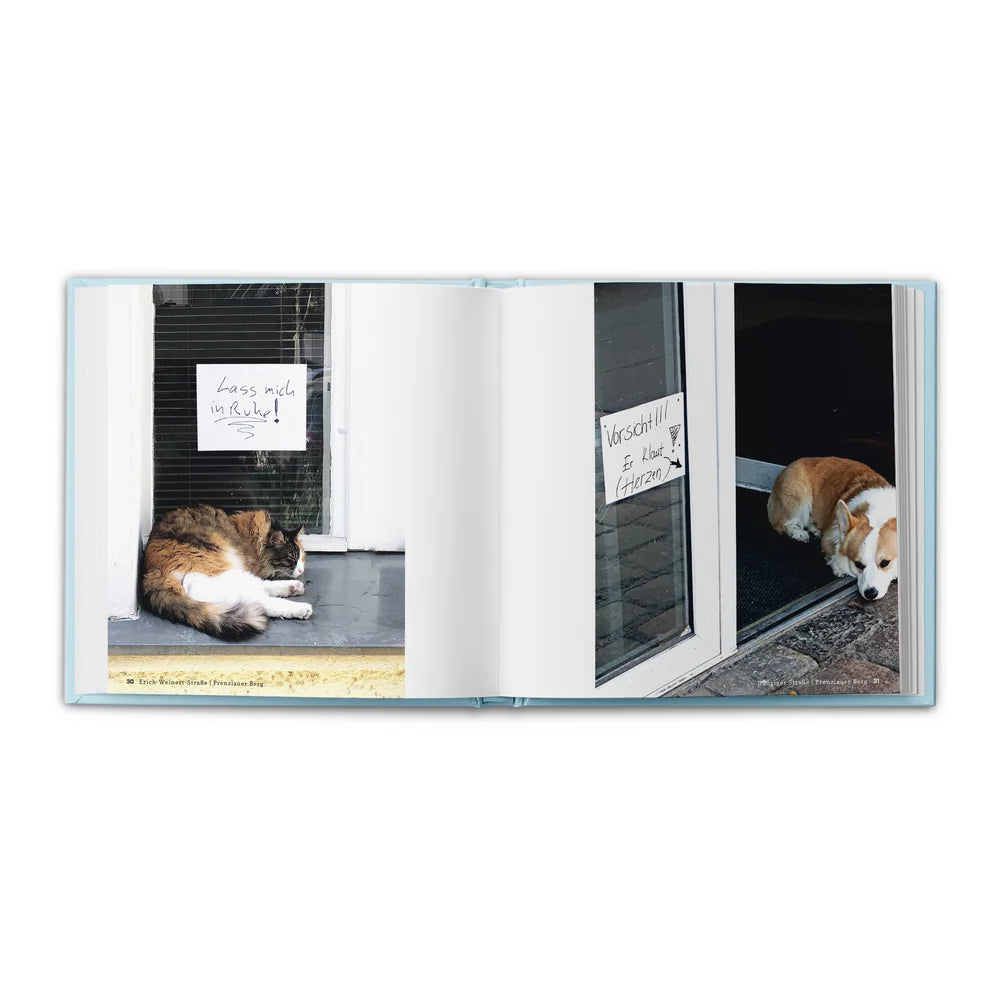 Buch | Neue Notizen aus dem Großstadt-Dschungel Vol. 2