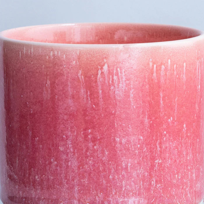 Quench Cup | Red Raspberry Sorbet
