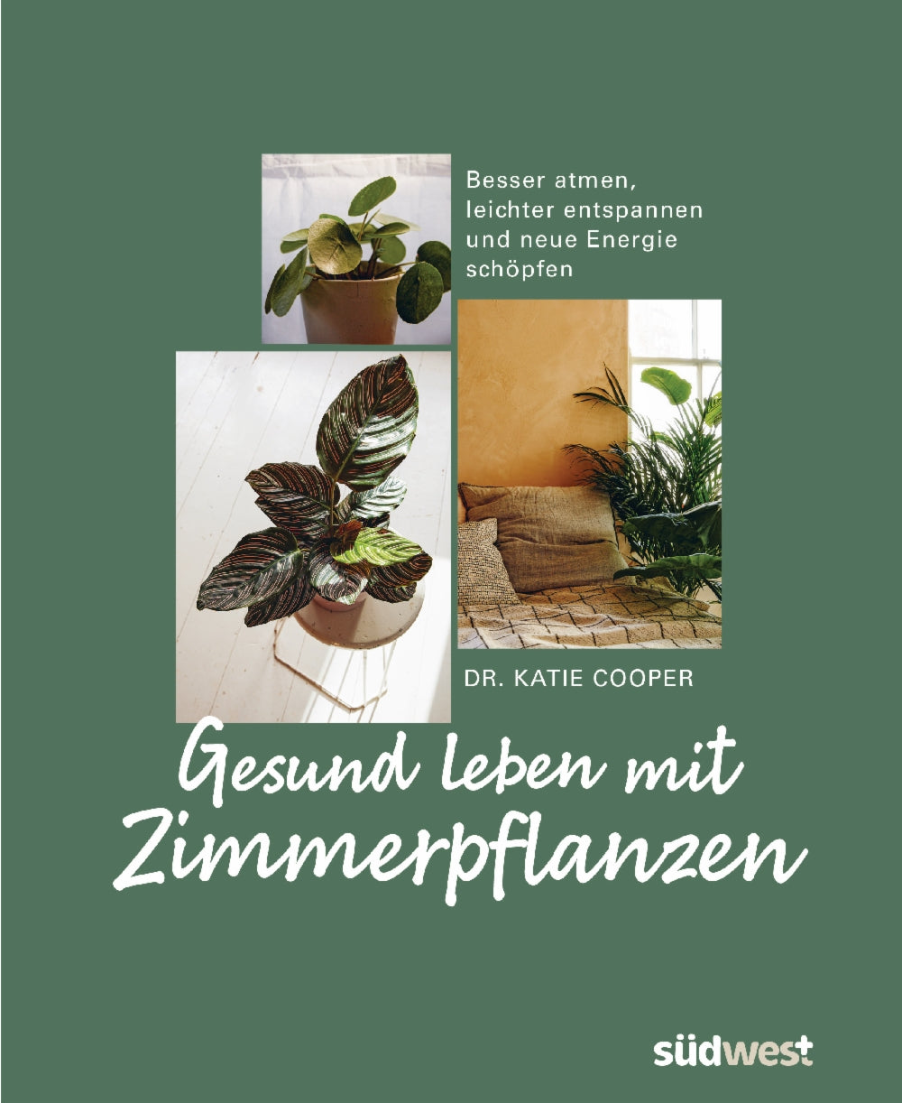 Buch | Gesund leben mit Pflanzen